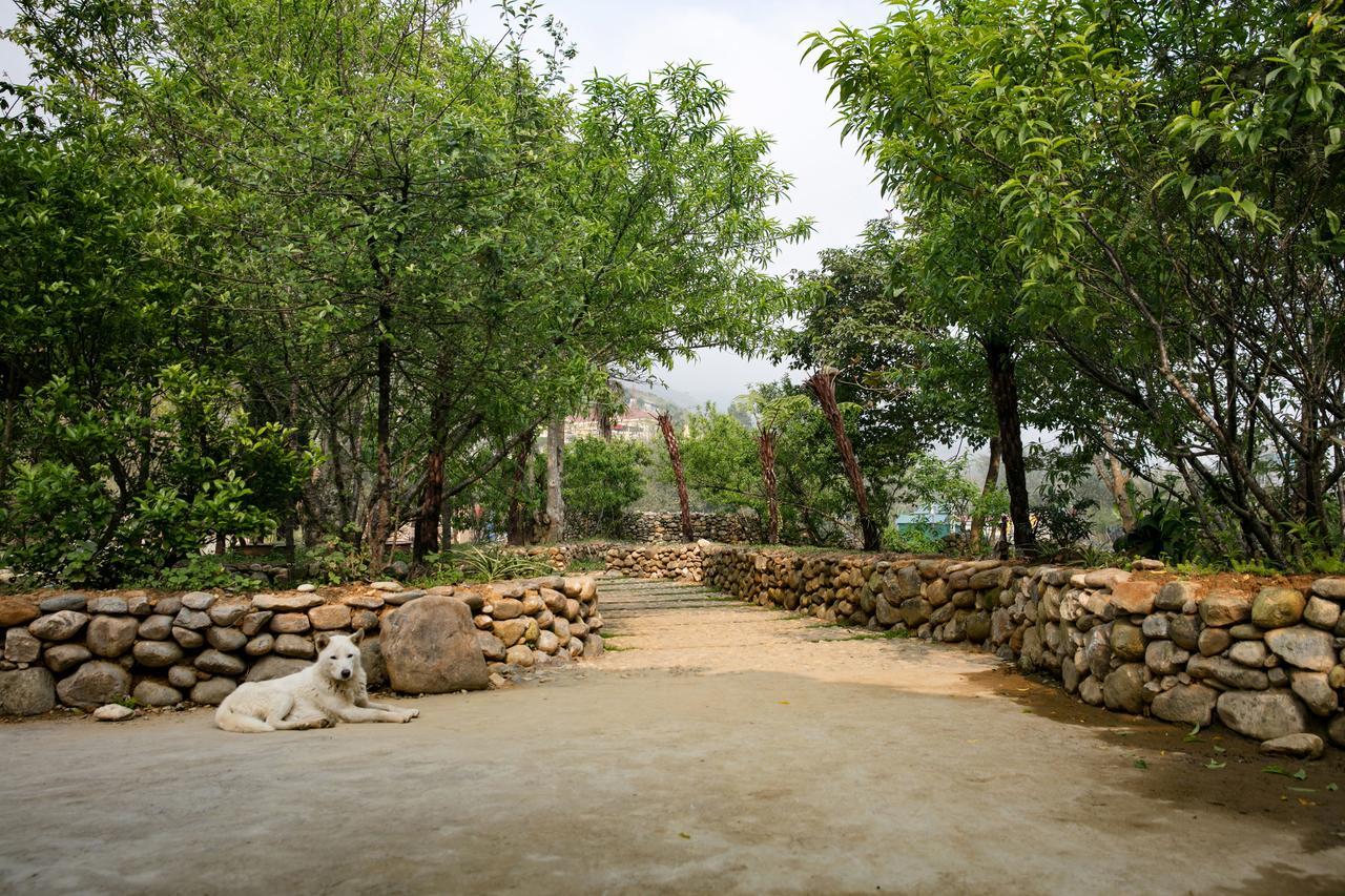 Tavan Riverside Ecolodge ซาปา ภายนอก รูปภาพ